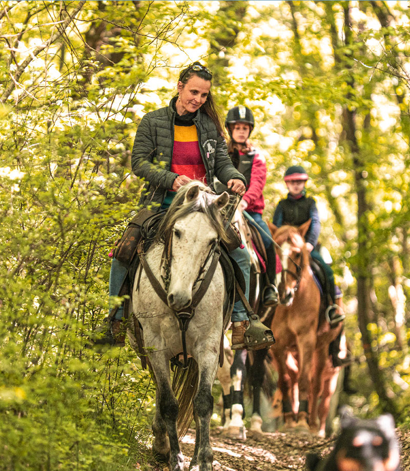 balade-chevaux-en-famille
